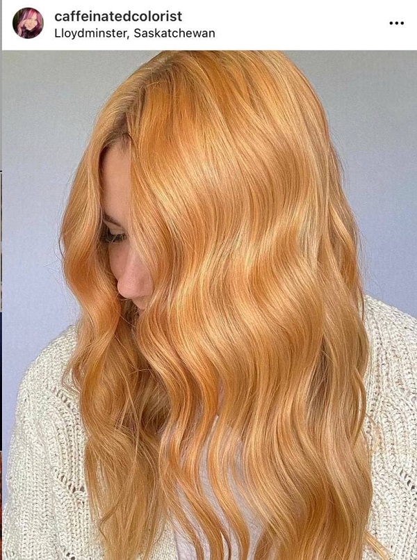 Pumpkin Spice Hair
