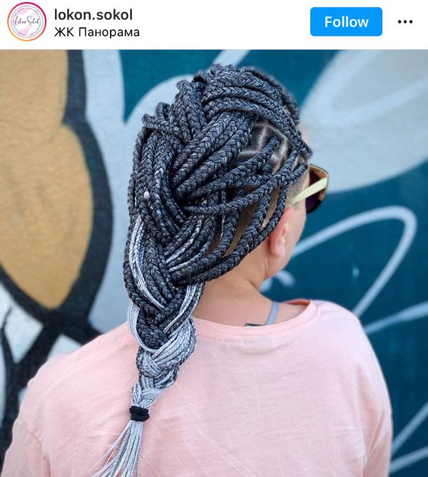Gray Twisted Braids in a Plait