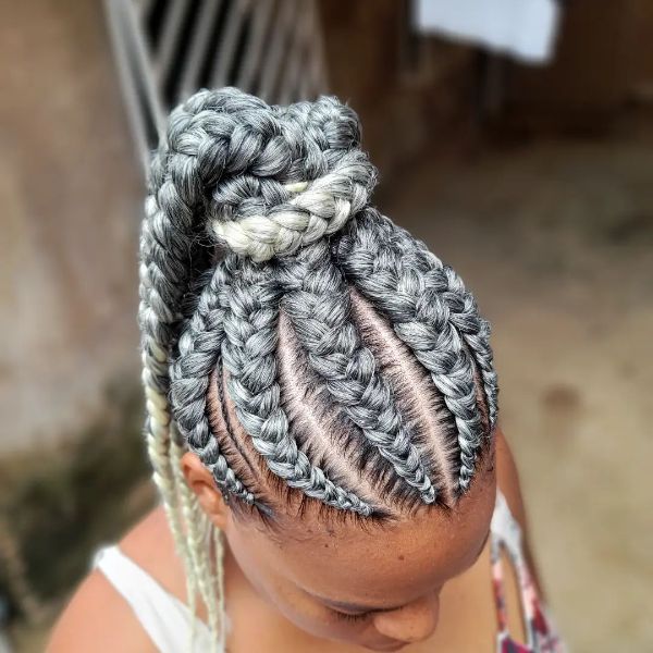 Gray Braids in a Ponytail