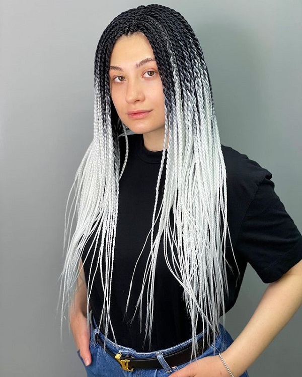 Black to Light Gray Braided Hairstyle with Ombre